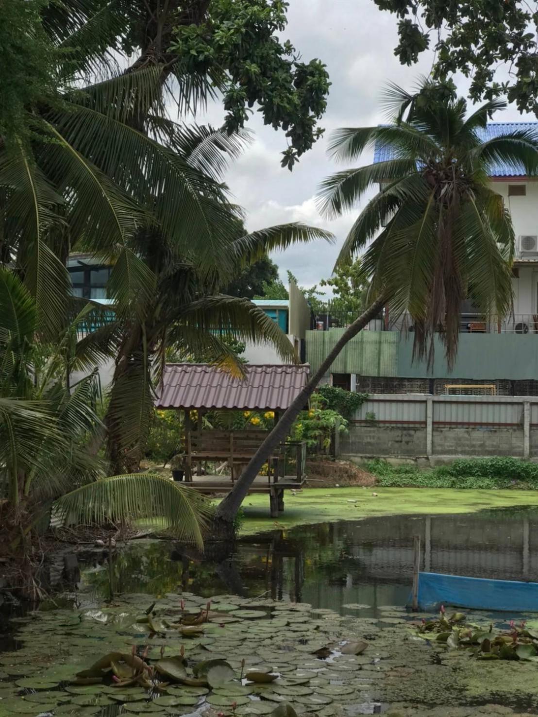 Baan Lotus Guest House Phra Nakhon Si Ayutthaya Exterior photo